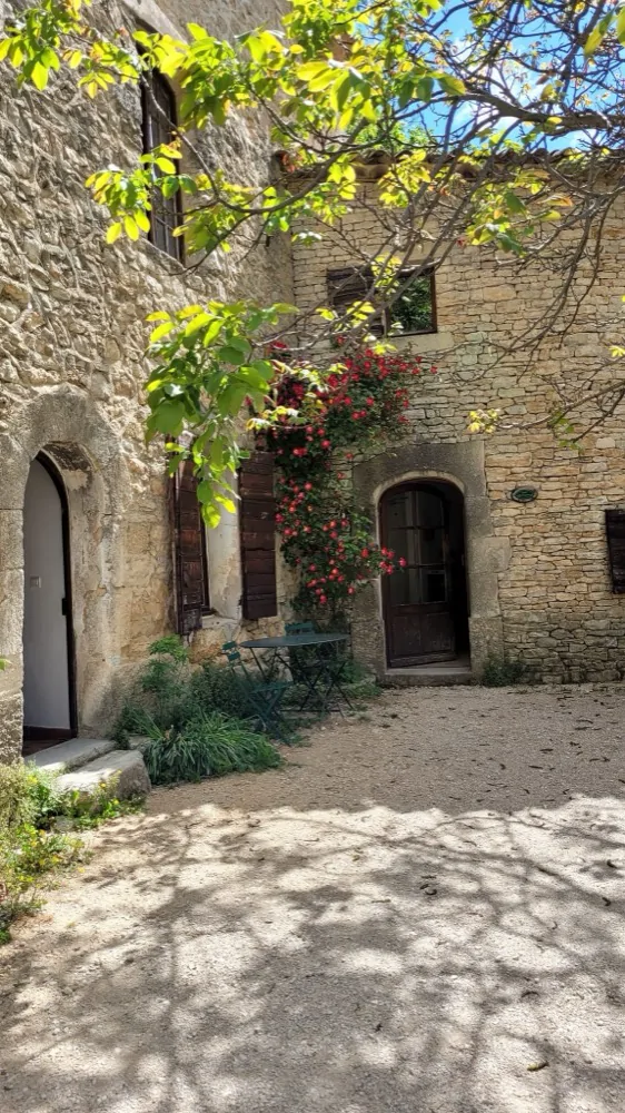 A sunlit courtyard with stone archways and climbing roses